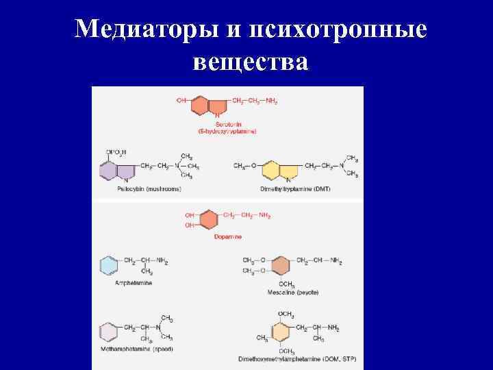Медиаторы и психотропные вещества 