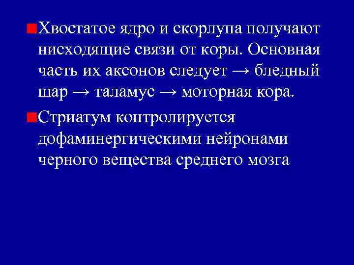 Хвостатое ядро и скорлупа получают нисходящие связи от коры. Основная часть их аксонов следует