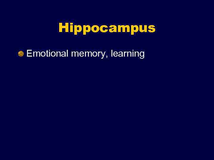 Hippocampus Emotional memory, learning 