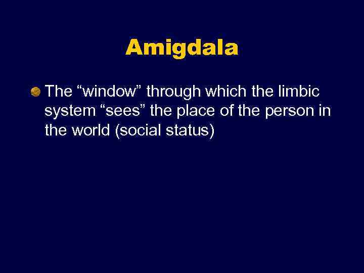 Amigdala The “window” through which the limbic system “sees” the place of the person