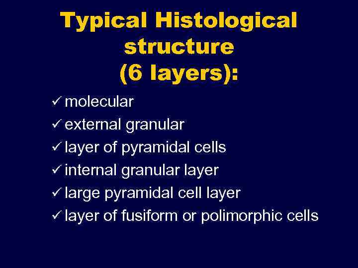 Typical Histological structure (6 layers): ü molecular ü external granular ü layer of pyramidal
