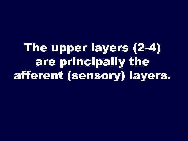 The upper layers (2 -4) are principally the afferent (sensory) layers. 
