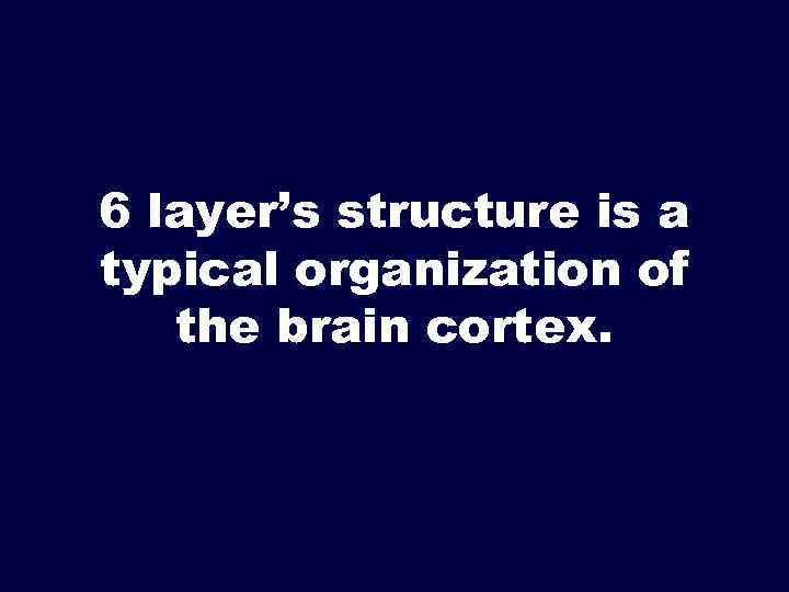 6 layer’s structure is a typical organization of the brain cortex. 