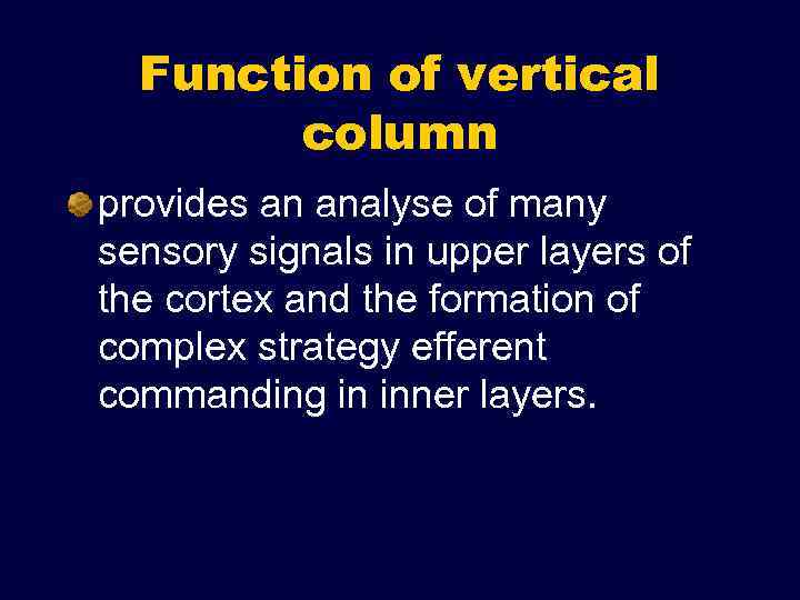 Function of vertical column provides an analyse of many sensory signals in upper layers