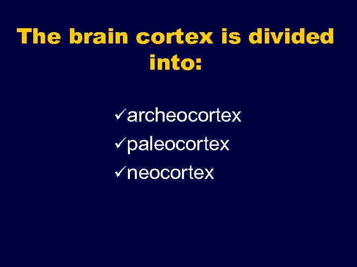 The brain cortex is divided into: üarcheocortex üpaleocortex üneocortex 