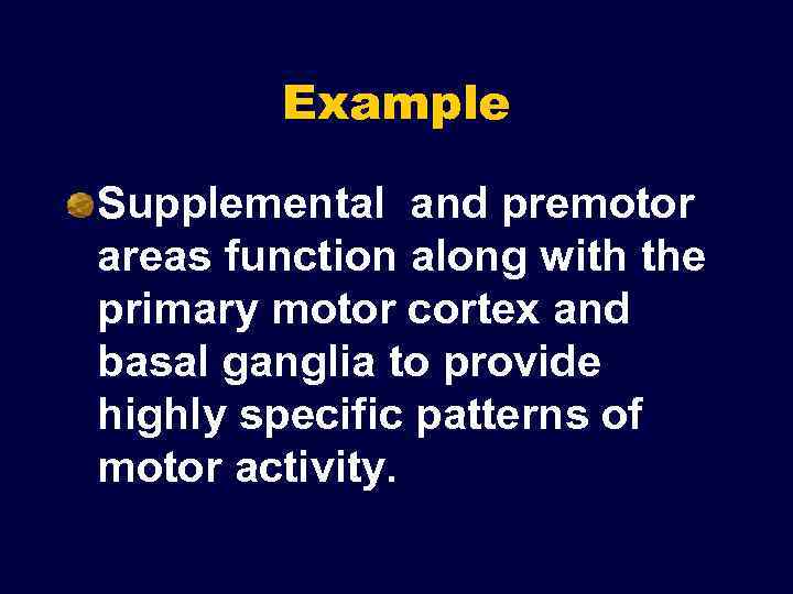 Example Supplemental and premotor areas function along with the primary motor cortex and basal