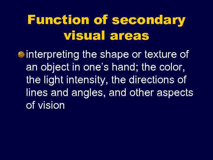 Function of secondary visual areas interpreting the shape or texture of an object in