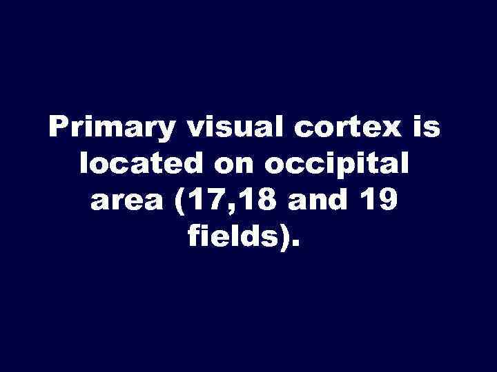 Primary visual cortex is located on occipital area (17, 18 and 19 fields). 