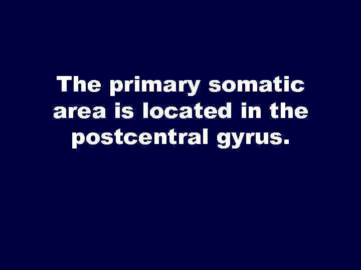 The primary somatic area is located in the postcentral gyrus. 