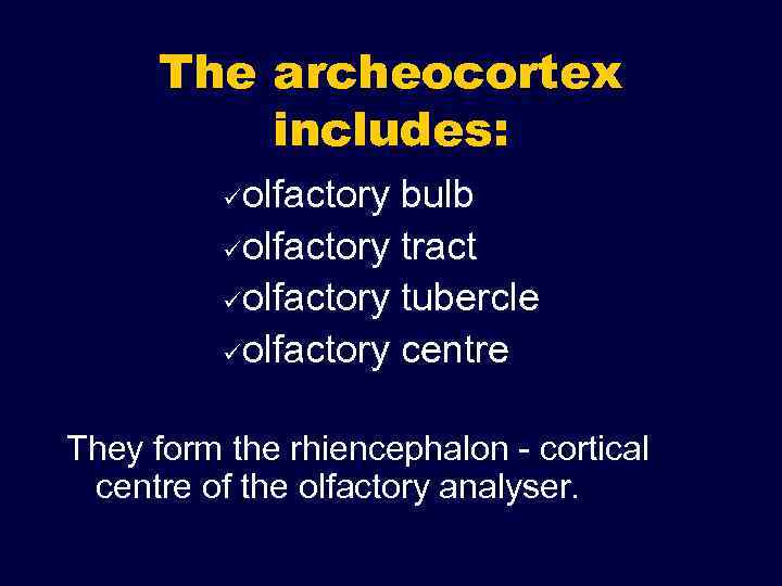 The archeocortex includes: olfactory bulb üolfactory tract üolfactory tubercle üolfactory centre ü They form