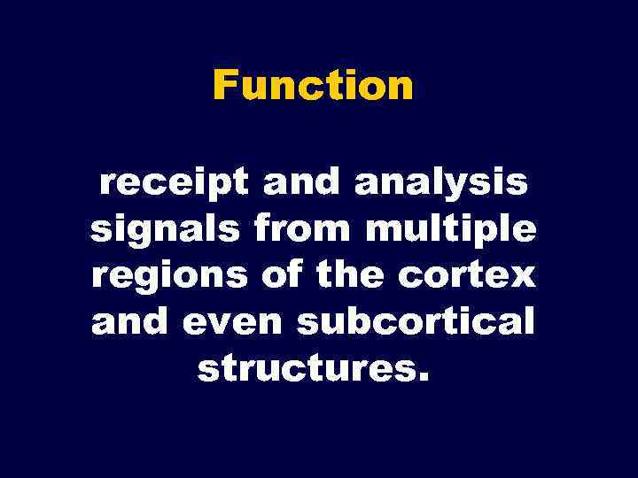 Function receipt and analysis signals from multiple regions of the cortex and even subcortical