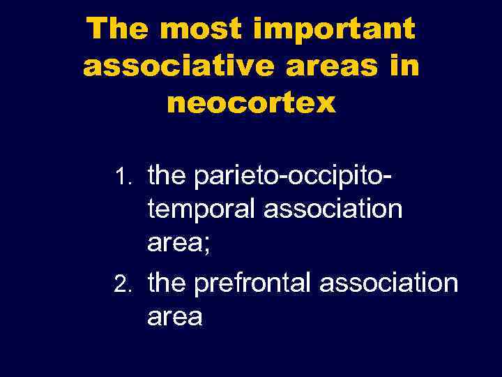The most important associative areas in neocortex 1. the parieto-occipito- temporal association area; 2.
