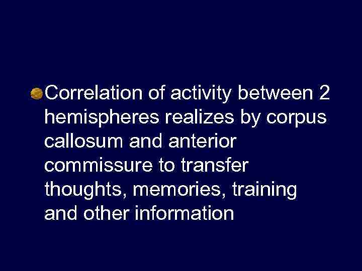 Correlation of activity between 2 hemispheres realizes by corpus callosum and anterior commissure to