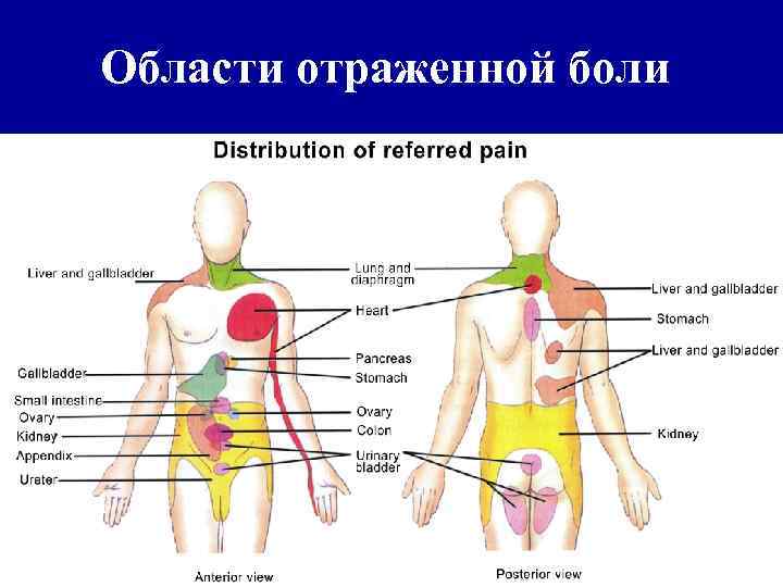 Области отраженной боли 