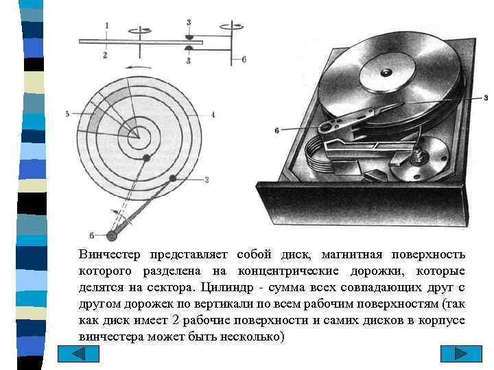 Магнитная поверхность. Дорожки винчестеров представляют собой. Дорожки винчестеров. Цилиндр винчестера. Дорожки винчестеров представляют собой концентрические окружности.