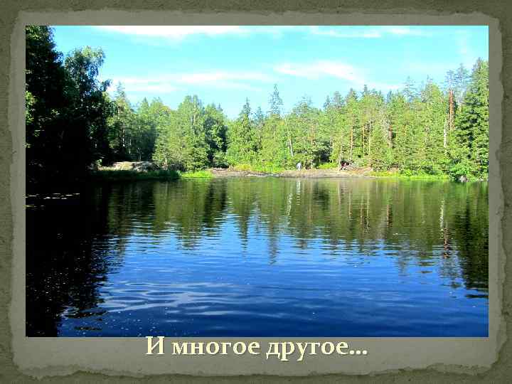 И многое другое… 