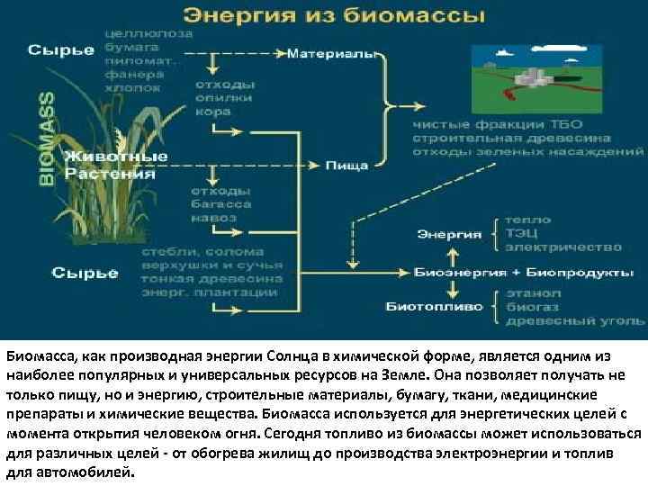 Энергия биомассы