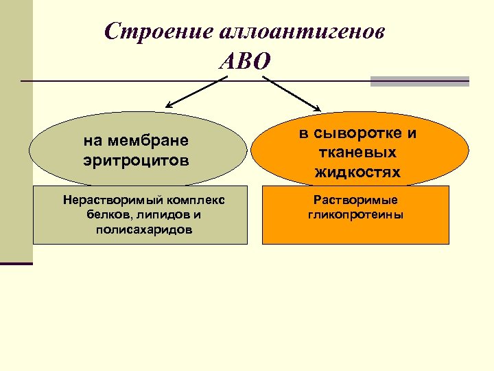 Строение аллоантигенов АВО на мембране эритроцитов Нерастворимый комплекс белков, липидов и полисахаридов в сыворотке
