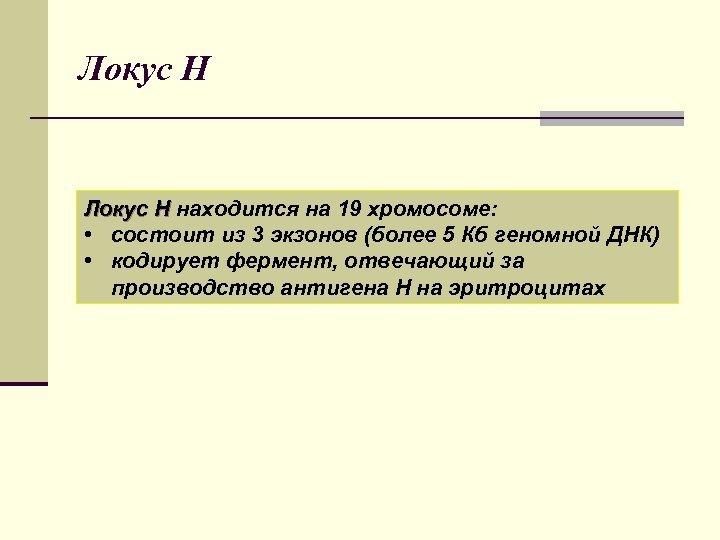 Локус Н Локус H находится на 19 хромосоме: • состоит из 3 экзонов (более