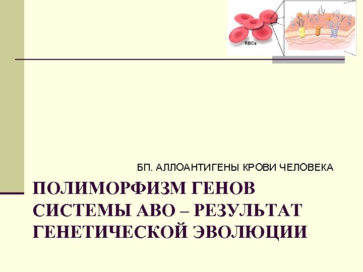 БП. АЛЛОАНТИГЕНЫ КРОВИ ЧЕЛОВЕКА ПОЛИМОРФИЗМ ГЕНОВ СИСТЕМЫ АВО – РЕЗУЛЬТАТ ГЕНЕТИЧЕСКОЙ ЭВОЛЮЦИИ 