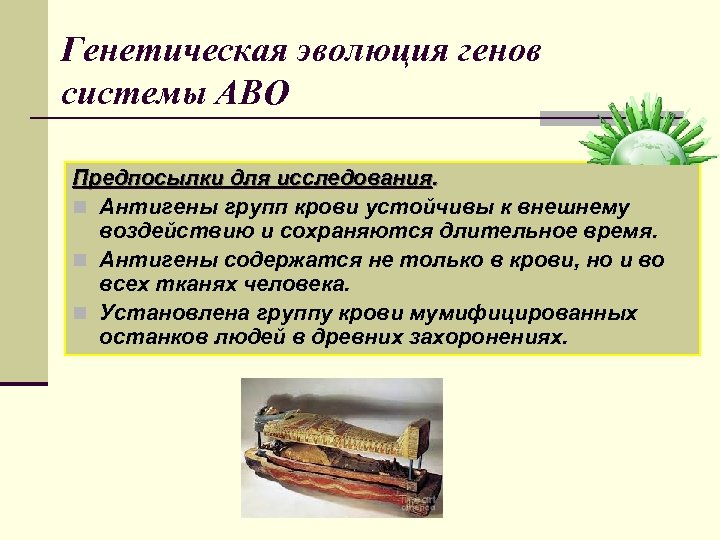 Генетическая эволюция генов системы АВО Предпосылки для исследования. n Антигены групп крови устойчивы к