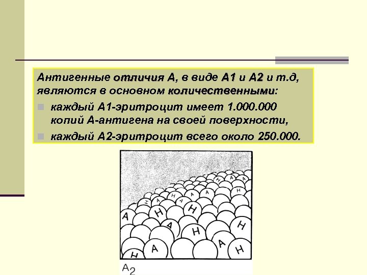 Антигенные отличия А, в виде А 1 и А 2 и т. д, А