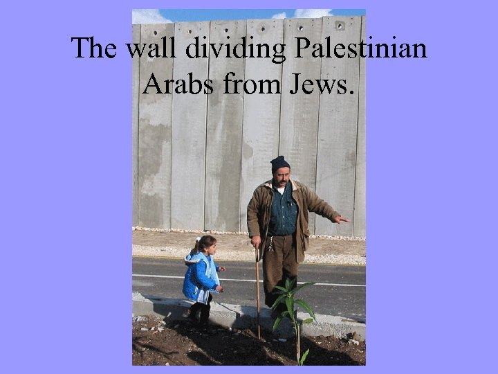 The wall dividing Palestinian Arabs from Jews. 