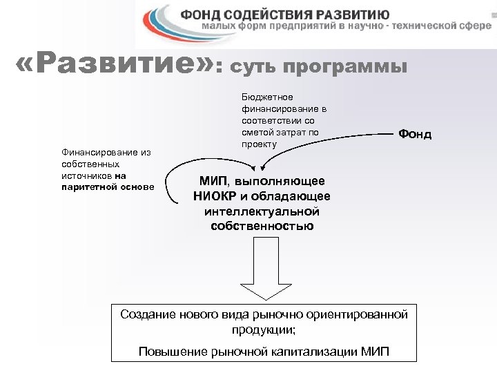  «Развитие» : суть программы Финансирование из собственных источников на паритетной основе Бюджетное финансирование