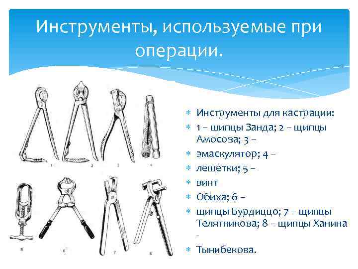 Инструменты, используемые при операции. Инструменты для кастрации: 1 – щипцы Занда; 2 – щипцы