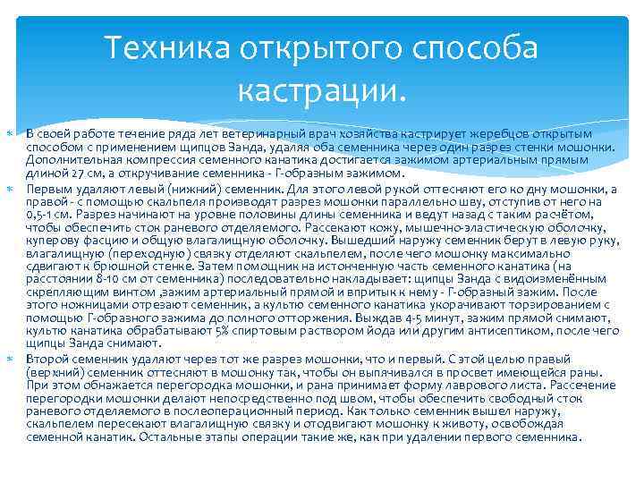 Техника открытого способа кастрации. В своей работе течение ряда лет ветеринарный врач хозяйства кастрирует