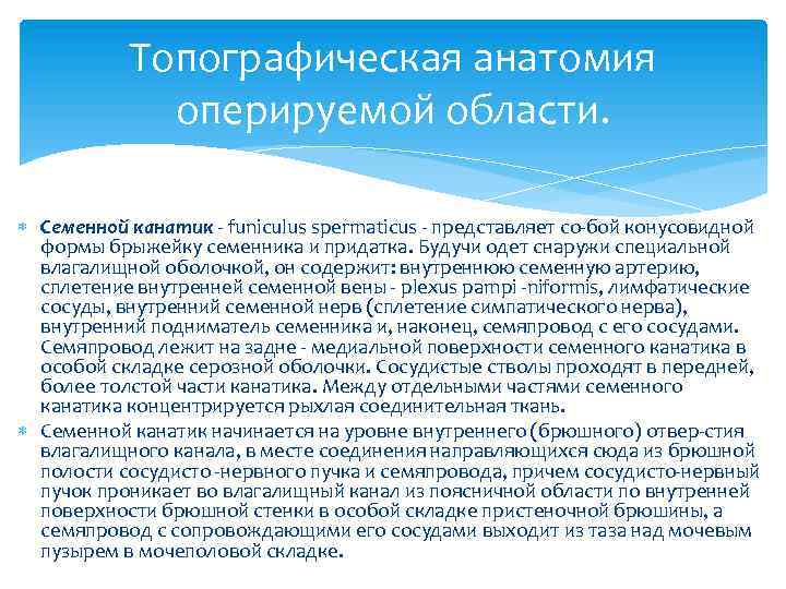 Топографическая анатомия оперируемой области. Семенной канатик funiculus spermaticus представляет со бой конусовидной формы брыжейку