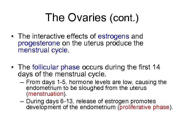 The Ovaries (cont. ) • The interactive effects of estrogens and progesterone on the