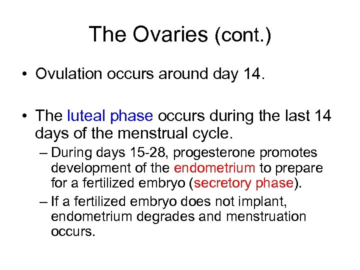 The Ovaries (cont. ) • Ovulation occurs around day 14. • The luteal phase