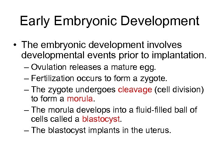 Early Embryonic Development • The embryonic development involves developmental events prior to implantation. –