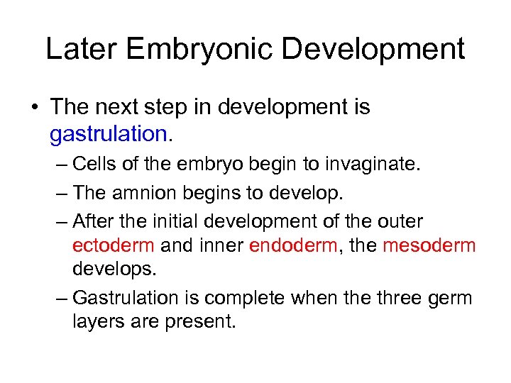 Later Embryonic Development • The next step in development is gastrulation. – Cells of