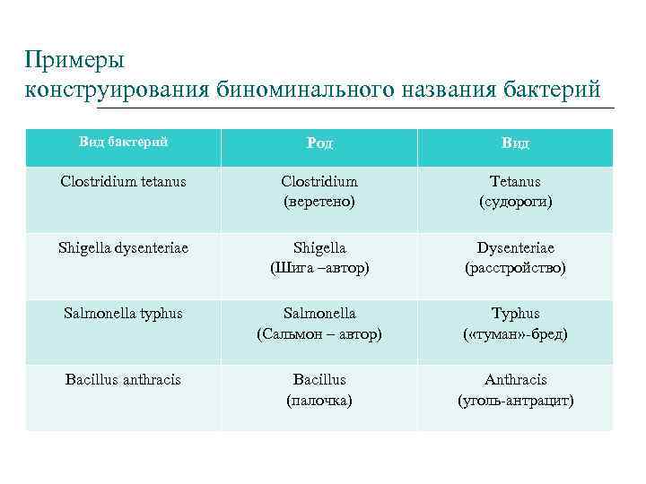 Роды бактерий