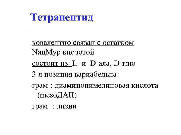 Тетрапептид ковалентно связан с остатком Nац. Мур кислотой состоит из: L- и D-ала, D-глю