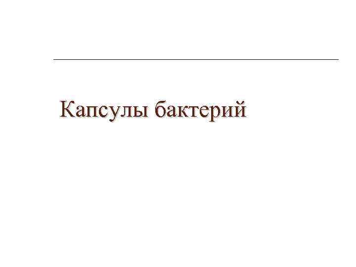 Капсулы бактерий 