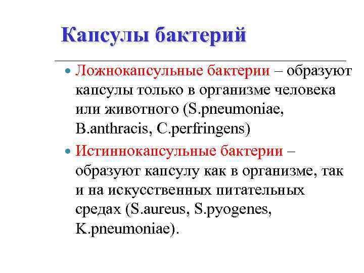 Капсулы бактерий Ложнокапсульные бактерии – образуют капсулы только в организме человека или животного (S.