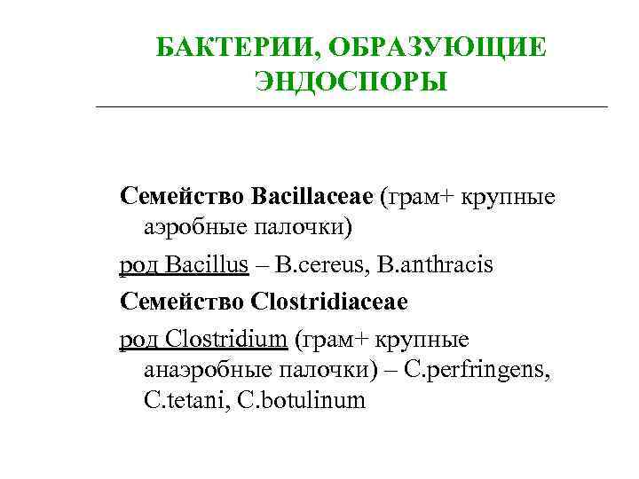 Крупные род. Эндоспоры образуют бактерии. Какие микроорганизмы образуют эндоспоры. Бактерии которые образуют эндоспоры. Бациллы с эндоспорами.