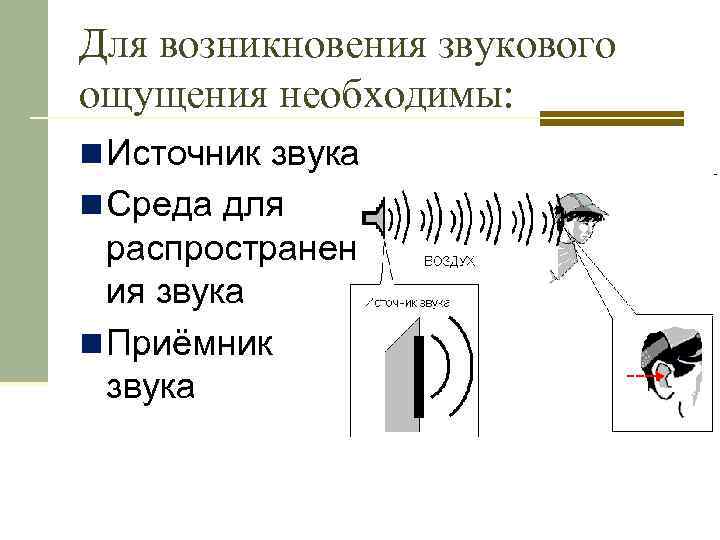 Для возникновения звукового ощущения необходимы: n Источник звука n Среда для распространен ия звука