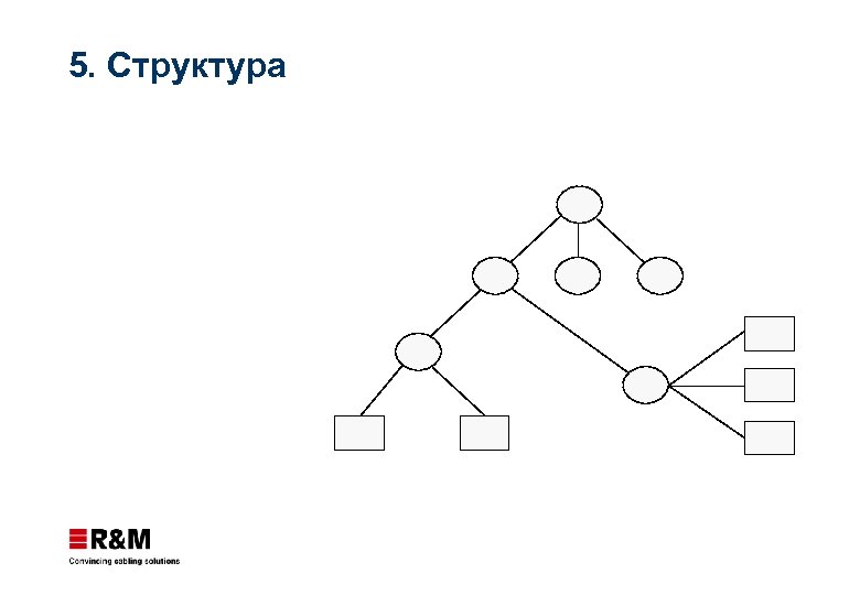 5. Структура 