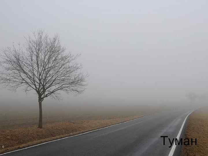 Туман 