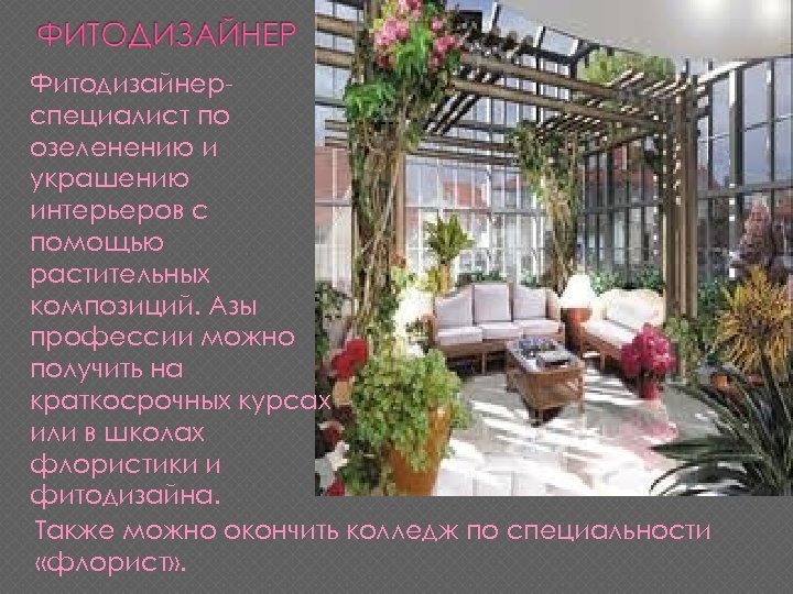 Фитодизайнерспециалист по озеленению и украшению интерьеров с помощью растительных композиций. Азы профессии можно получить