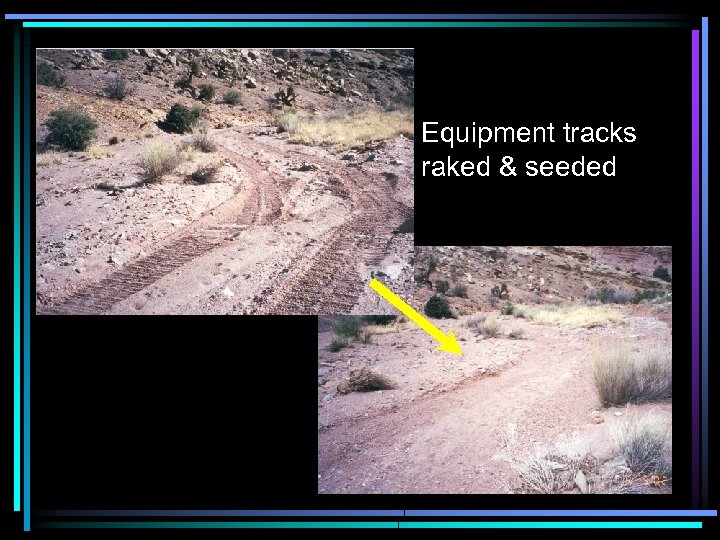 Equipment tracks raked & seeded 