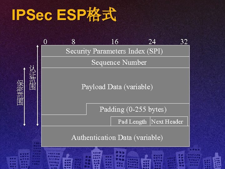 IPSec ESP格式 0 认 证 保 范 密 围 范 围 8 16 24