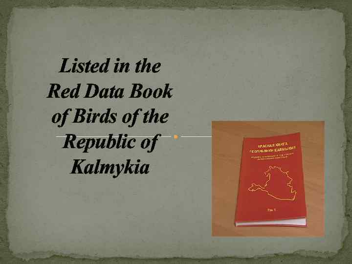 Listed in the Red Data Book of Birds of the Republic of Kalmykia 