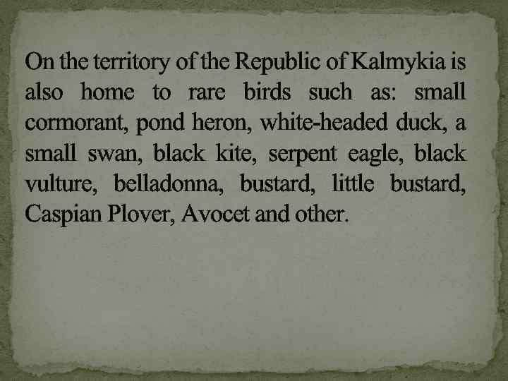 On the territory of the Republic of Kalmykia is also home to rare birds