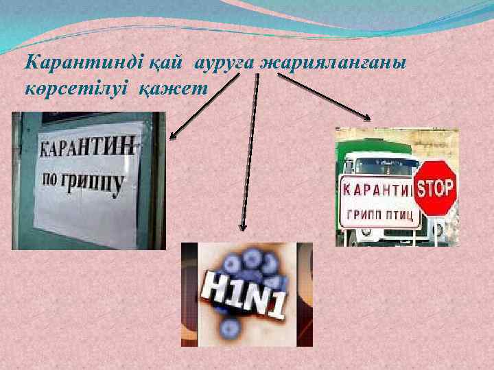 Карантинді қай ауруға жарияланғаны көрсетілуі қажет 