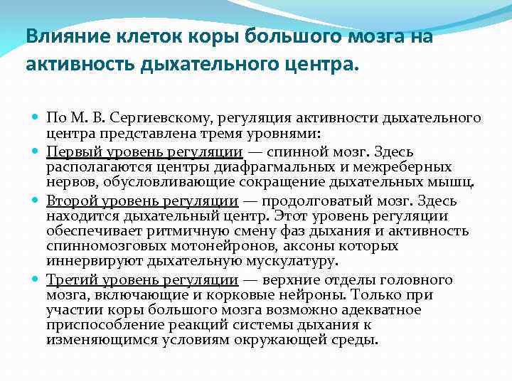 Влияние клеток коры большого мозга на активность дыхательного центра. По М. В. Сергиевскому, регуляция
